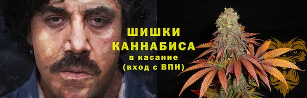 стафф Алзамай