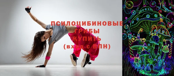 стафф Алзамай