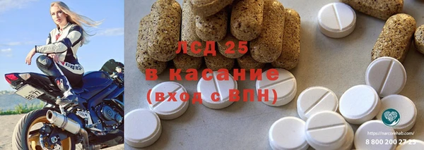 стафф Алзамай