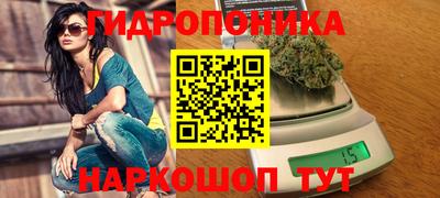 индика Малгобек