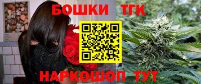 индика Малгобек