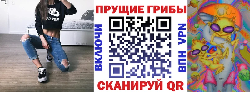 Псилоцибиновые грибы мицелий Углич